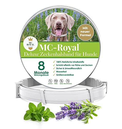 Zeckenhalsband fr Hunde: Top 10 Test & Vergleich