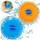 Meanju Wasser Frisbee