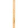 Mega Holz Zaunlatten