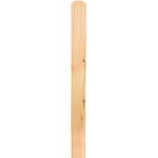 Mega Holz Zaunlatten