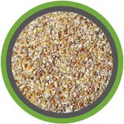 Premium Kükenfutter MeineHennen