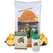 Meine Orangerie Zitruserde