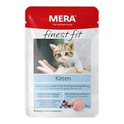 Mera finest fit Kitten