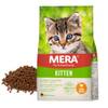 Mera Cats  Kitten Huhn