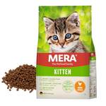 Mera Cats  Kitten Huhn