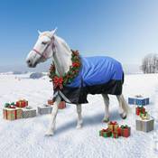Meulbaty Winterdecke Vergleich