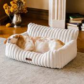 Mewoofun Hundesofabett Vergleich