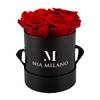 ‎Mia Milano Infitnity Rosen