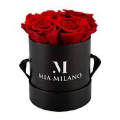 ‎Mia Milano Infitnity Rosen