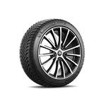 Michelin Alpin 6