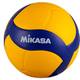 Mikasa V200W-DVV Vergleich
