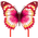 Mint's Colorful Life Schmetterling Drachen