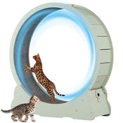 Miwooyy Katzenlaufrad