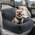 Mixjoy Hunde-Autositz