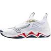 Mizuno Wave Momentum 3