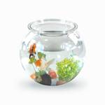 Mobiclinic Kugelaquarium