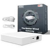 Moes Matter Smart Gateway THP10-Z-X