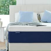 Molblly High Density Memory Foam Vergleich