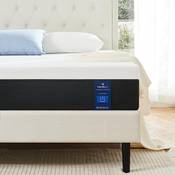 Molblly YGC-DE-FM-1890 Vergleich