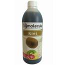 Molecula Sirup für Bubble Tea Kiwi
