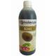 Molecula Sirup für Bubble Tea Kiwi Vergleich