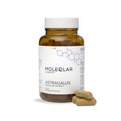 Moleqlar Astragalus