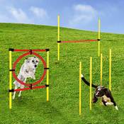 Momex Agility Set Vergleich