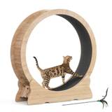 Mondeer Katzenlaufrad