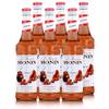 Monin-Sirup Caramel