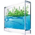 Monsterzeug Gel Ameisenfarm