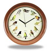 Monsterzeug Vogeluhr Vergleich