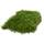 Moos Design Hochwertiges Terrariensubstrat Moos