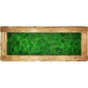 Moosspirit Wandbild mit Moos Vergleich