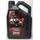 Motul 300V 4T Factory Line Straßenrennen Offroad 10w50