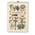 Mrtkbooker Saisonkalender