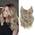 Ms Taj Ash Blonde Invisible Wire Hair