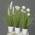 Mucplants Kunstpflanze Kunstgras