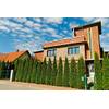 Mueller Muenchehof Pflanzen GmbH Thuja Smaragd