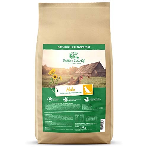 Kaltgepresstes Hundefutter: Top 10 Test & Vergleich