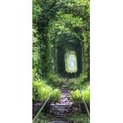 SOOOEC HJ-A-1404999006