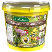 Nlchrestensen Blumensamen Mischung