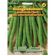 N.L. Chrestensen Erfurter Saatgut 474024