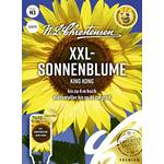 N.L.Chrestensen XXL- Sonnenblume King Kong Samen