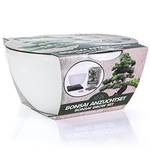 Bonsai-Starter-Kit
