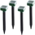 Nakaicun Maulwurfschreck