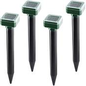 Nakaicun Maulwurfschreck