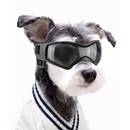 Namsan Hundebrille