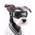 Namsan Hundebrille
