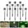 Nasharia NA087-dicha-12pack