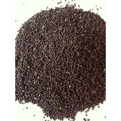 Natur-shop24 Rapssamen